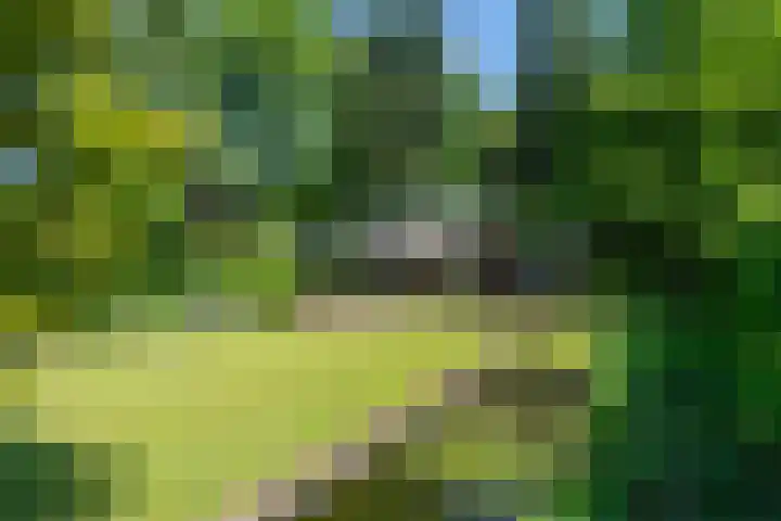Tilburgseweg 205 Goirle thumbnail 41