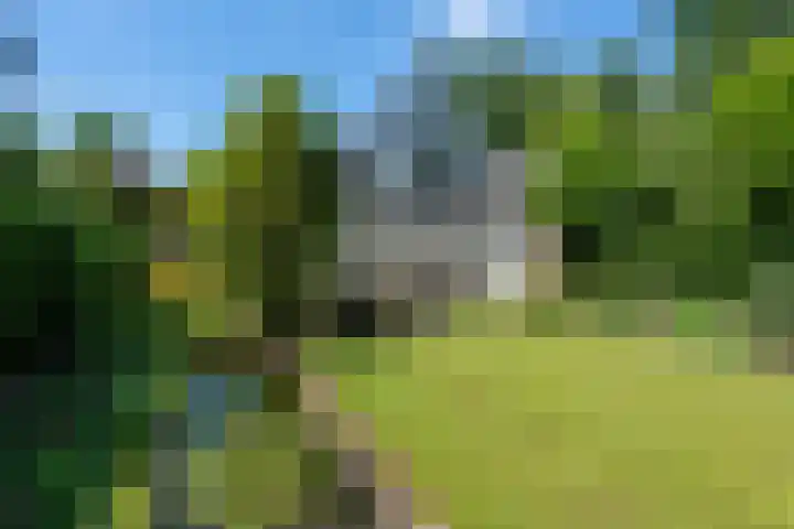 Tilburgseweg 205 Goirle thumbnail 43