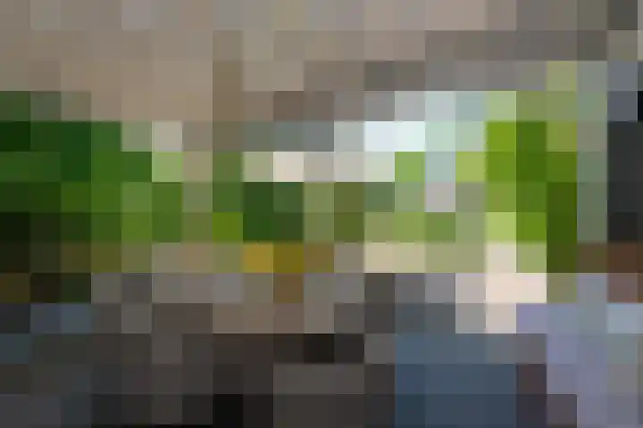 Tilburgseweg 205 Goirle thumbnail 44