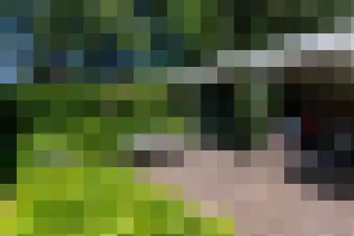 Tilburgseweg 205 Goirle thumbnail 45