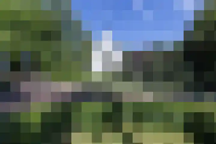 Tilburgseweg 205 Goirle thumbnail 47