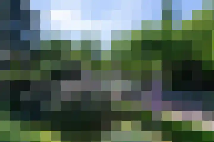 Tilburgseweg 205 Goirle thumbnail 48