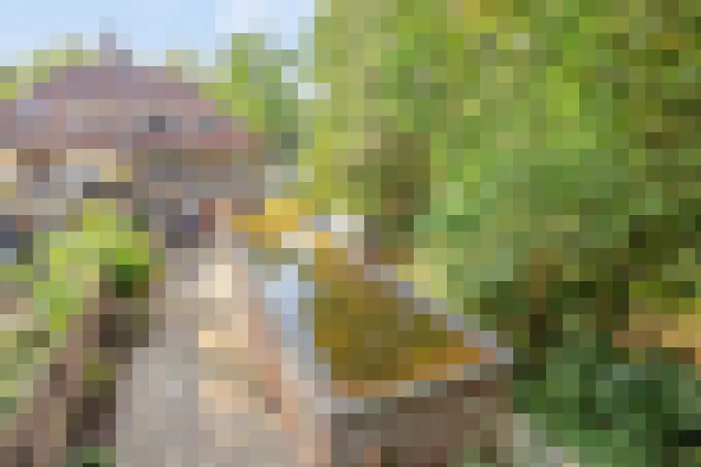 Tilburgseweg 213 Goirle thumbnail 51