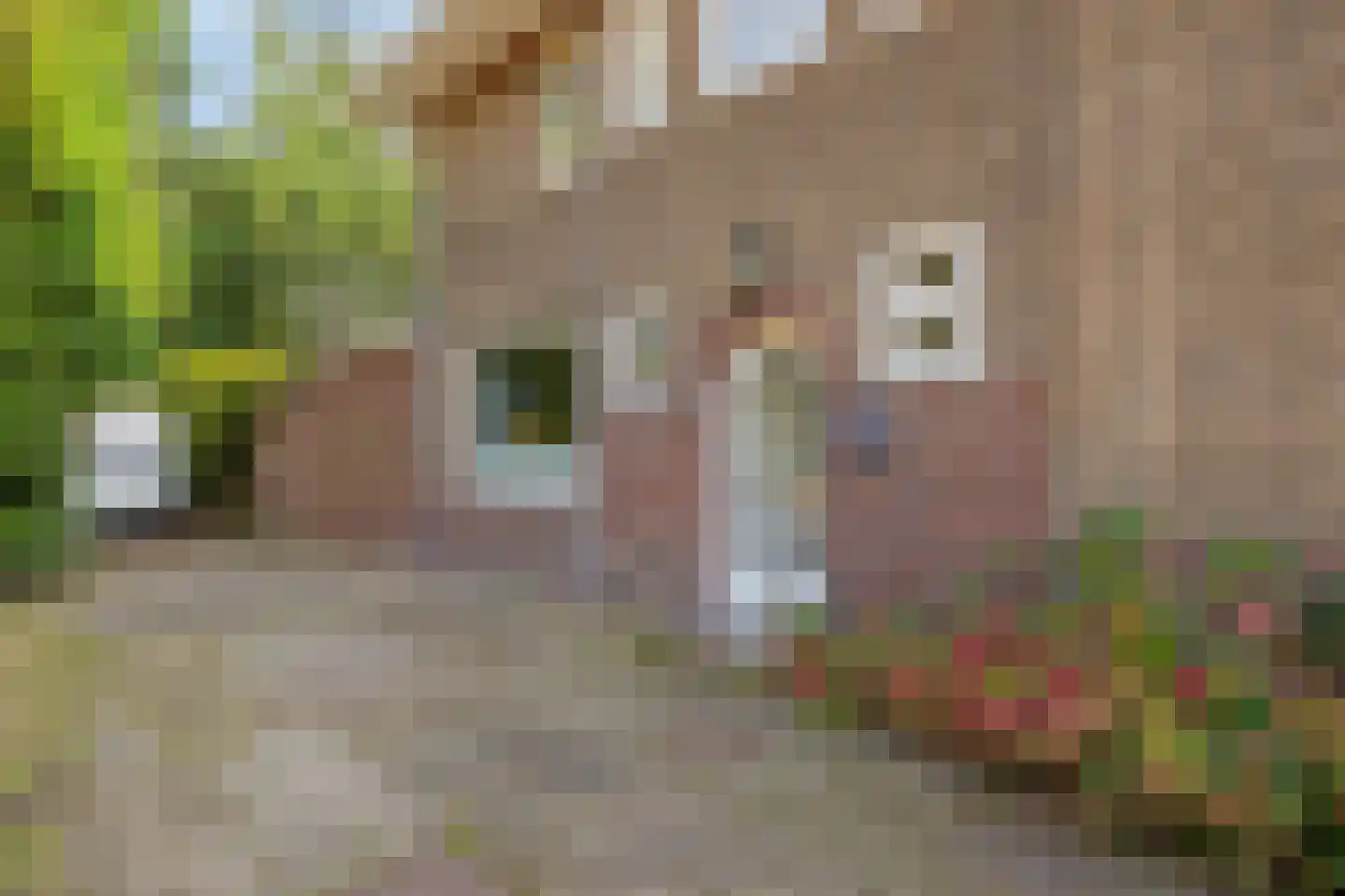 Tilburgseweg 213 Goirle thumbnail 6