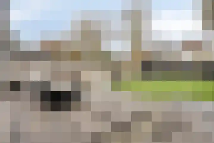 Tilburgseweg 24 b Riel thumbnail 49