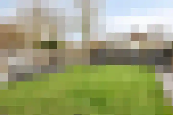 Tilburgseweg 24 b Riel thumbnail 54