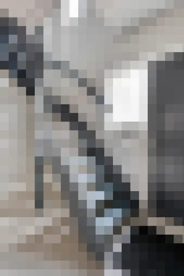 Tilburgseweg 24 b Riel thumbnail 6