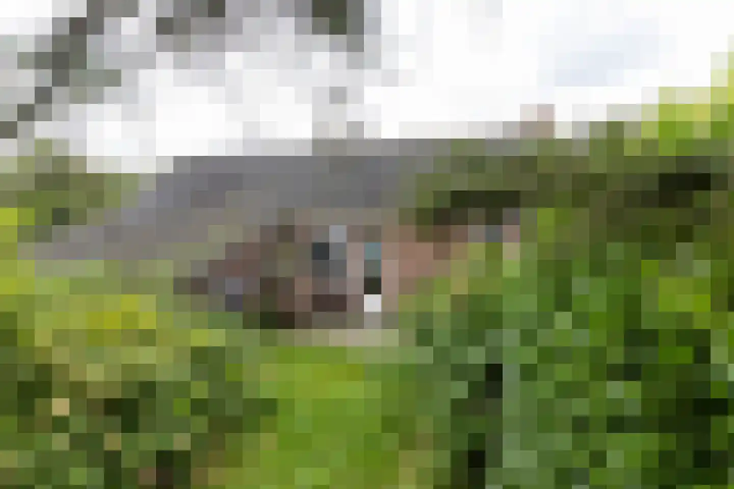 Tilburgseweg 267 Breda thumbnail 38