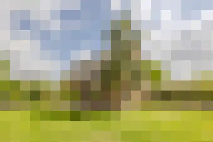 Tilburgseweg 29 Breda thumbnail 35