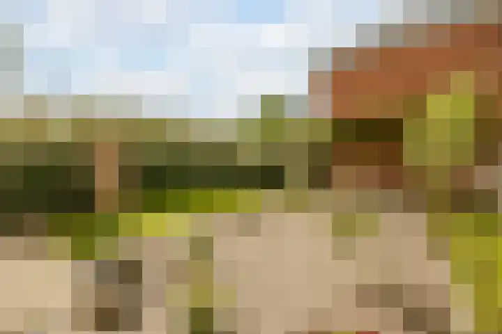 Tilburgseweg 29 Breda thumbnail 38