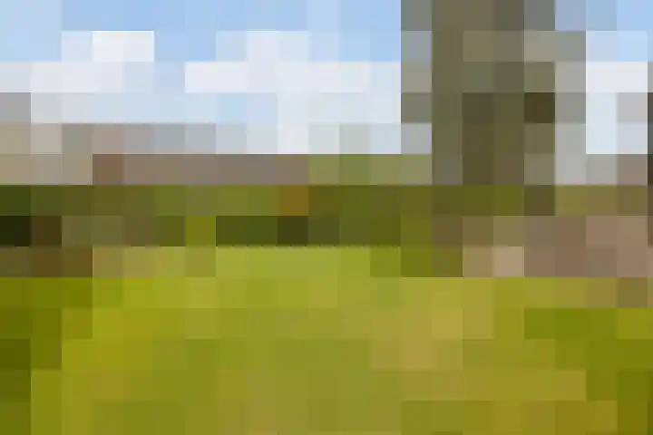 Tilburgseweg 29 Breda thumbnail 39