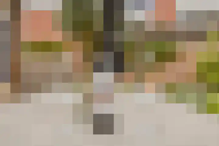 Tilburgseweg 29 Breda thumbnail 42