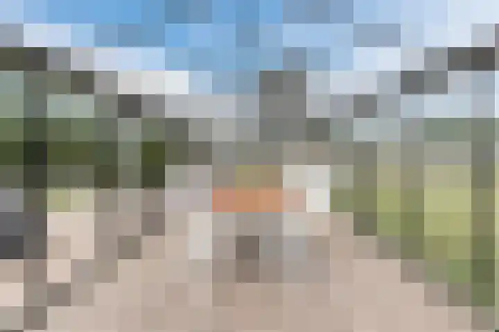 Tilburgseweg 47 Hilvarenbeek thumbnail 50
