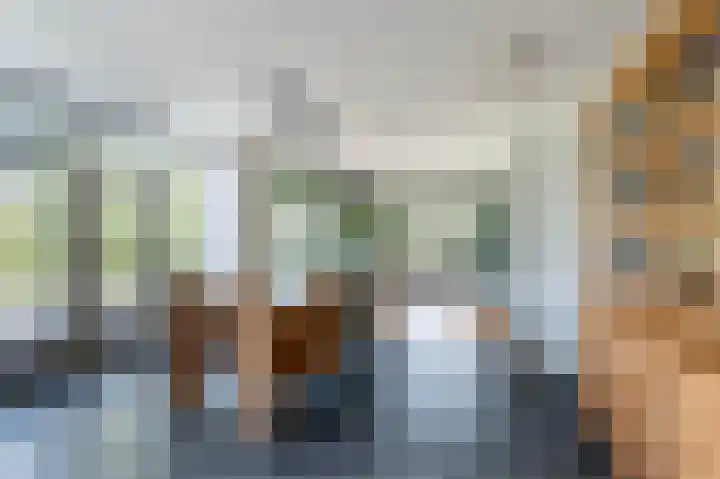 Tilburgseweg 47 Hilvarenbeek thumbnail 7