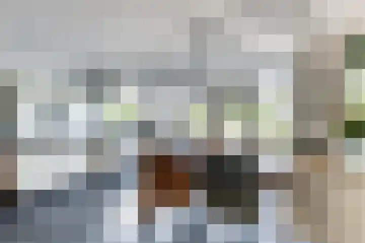 Tilburgseweg 47 Hilvarenbeek thumbnail 8