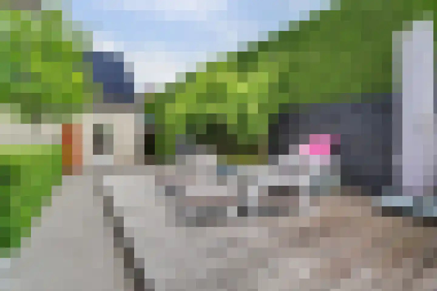 Tilburgseweg 6 B Hilvarenbeek thumbnail 40