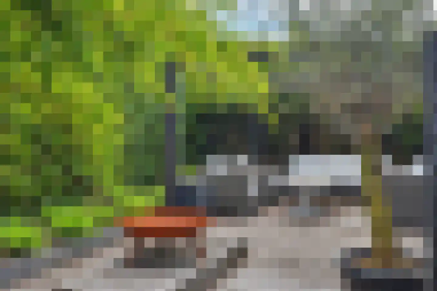 Tilburgseweg 6 B Hilvarenbeek thumbnail 42