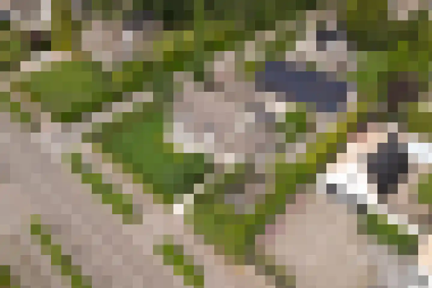 Tilburgseweg 6 B Hilvarenbeek thumbnail 58