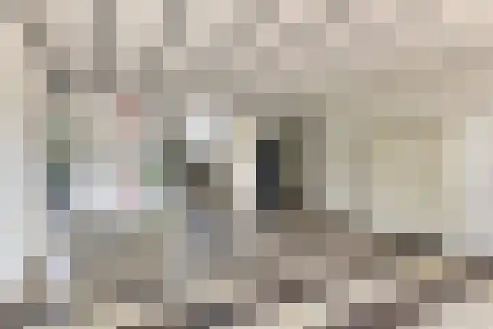 Tilburgseweg-Oost 57 Eindhoven thumbnail 8