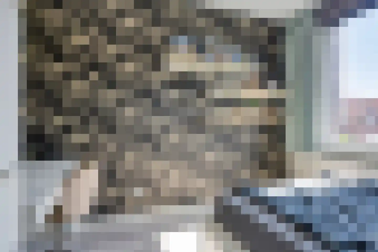Tilburgseweg-West 18 Eindhoven thumbnail 20