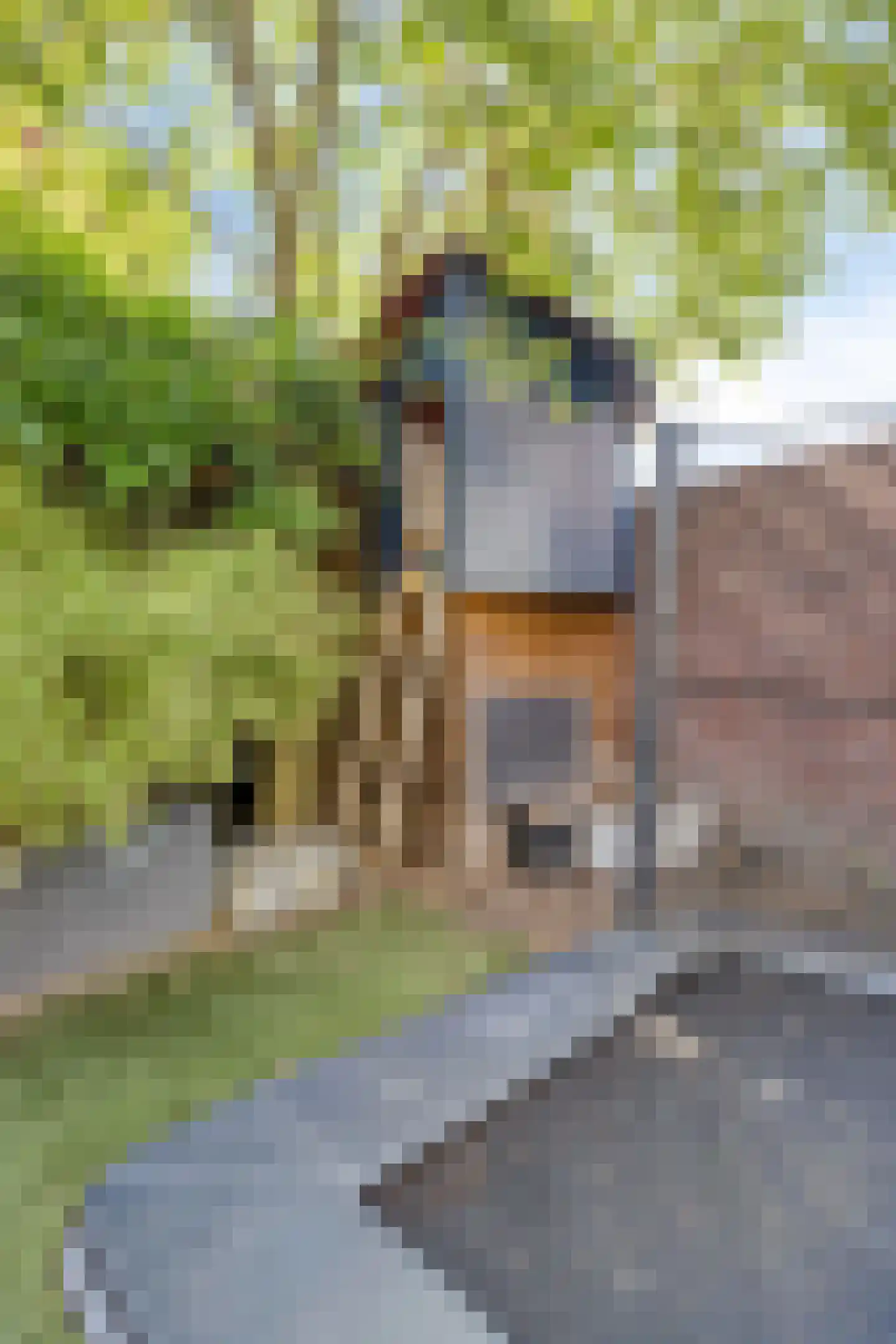 Tilburgseweg-West 18 Eindhoven thumbnail 35