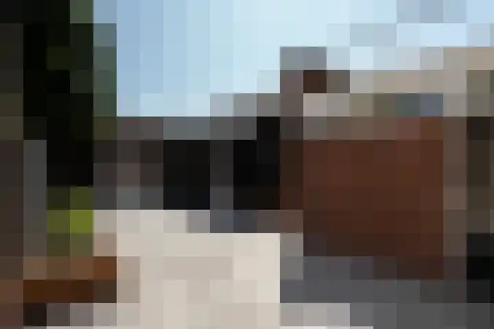 Tilburgstraat 6 Helvoirt thumbnail 32