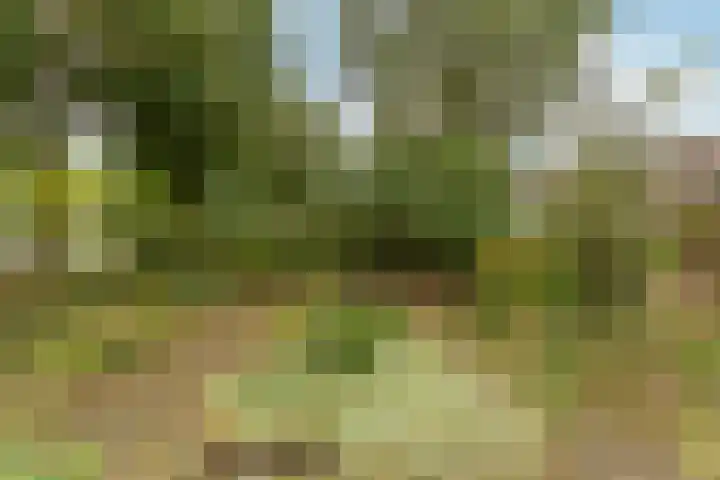 Tilburgweg 1 Arnhem thumbnail 21