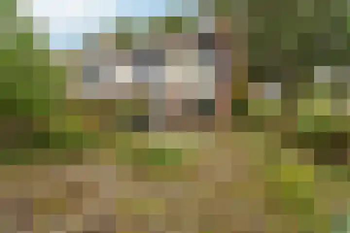 Tilburgweg 1 Arnhem thumbnail 22