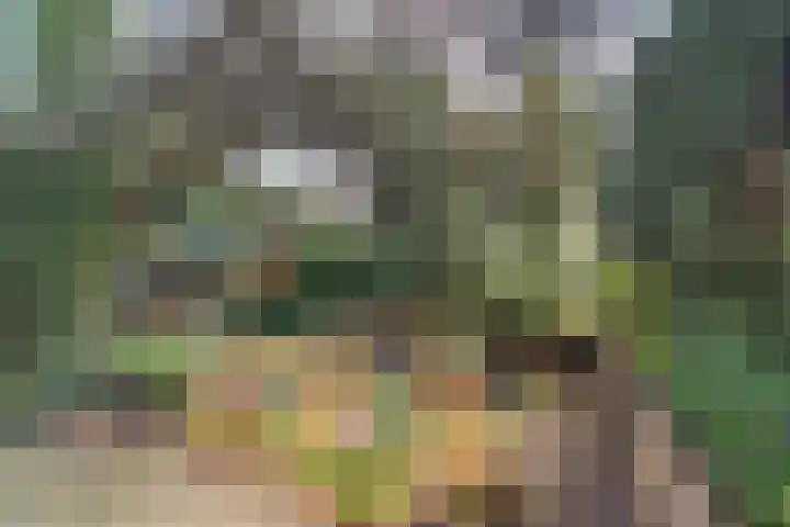 Tilburgweg 33 Arnhem thumbnail 4