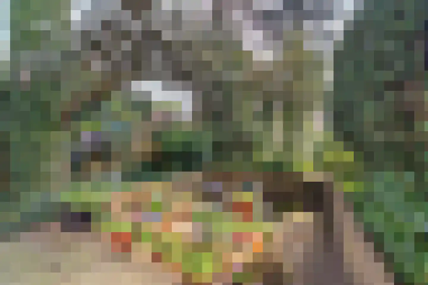 Tilburgweg 33 Arnhem thumbnail 4