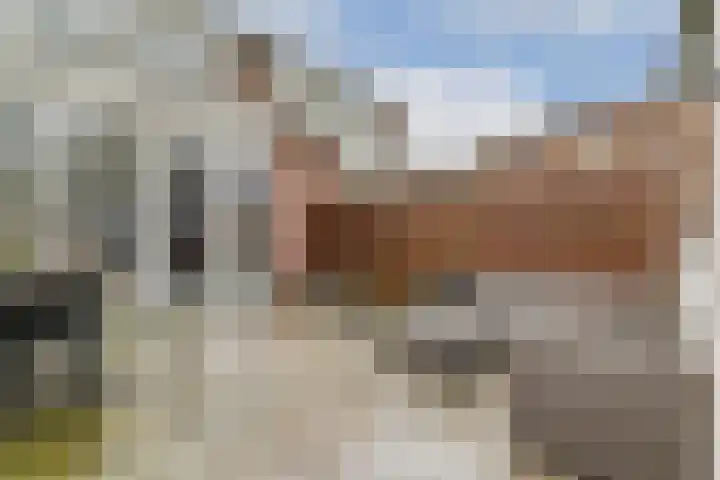 Tilbury 3 Sassenheim thumbnail 11