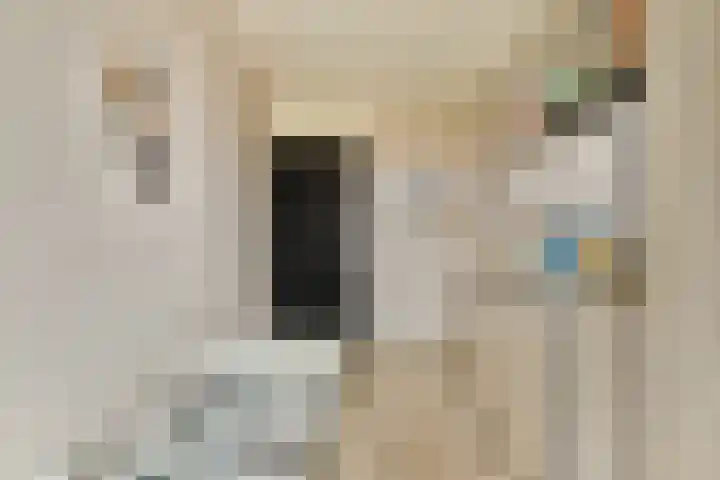 Tilbury 3 Sassenheim thumbnail 22