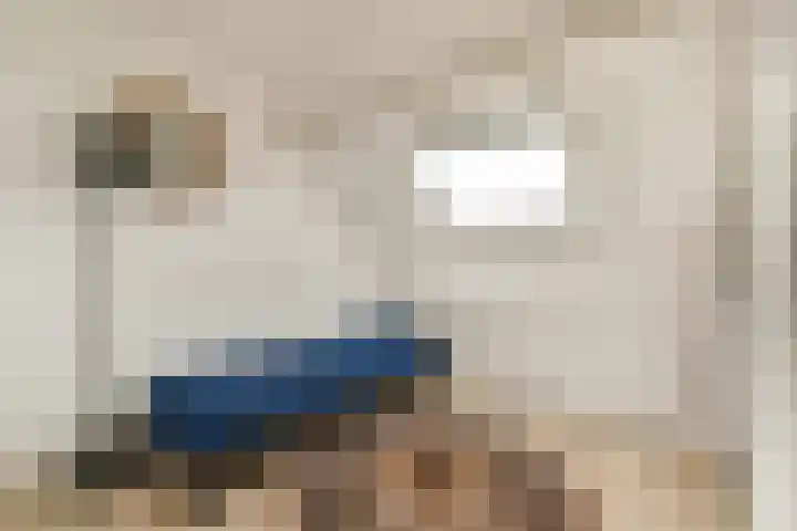 Tilbury 3 Sassenheim thumbnail 25
