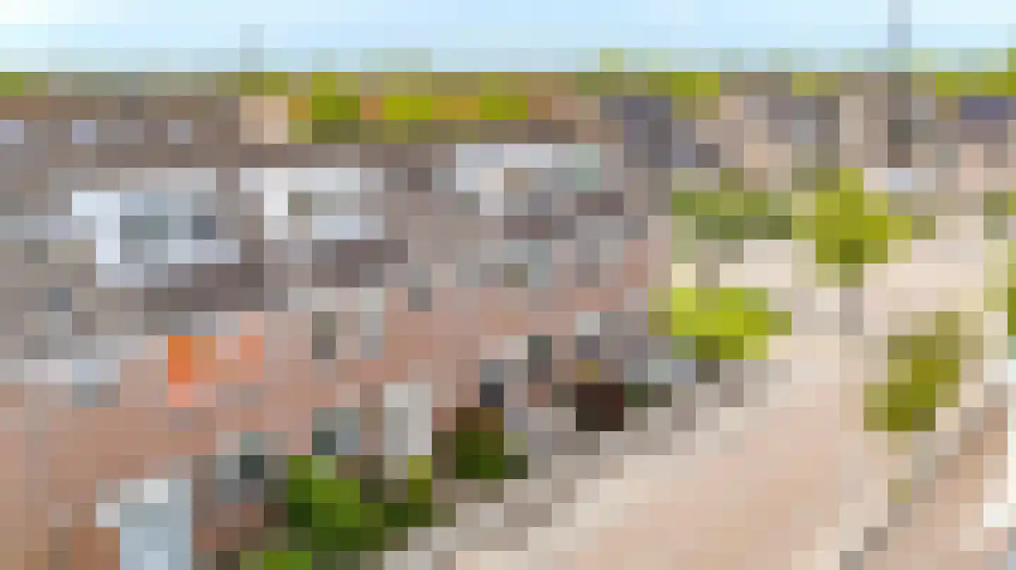 Tilbury 4 Sassenheim thumbnail 37