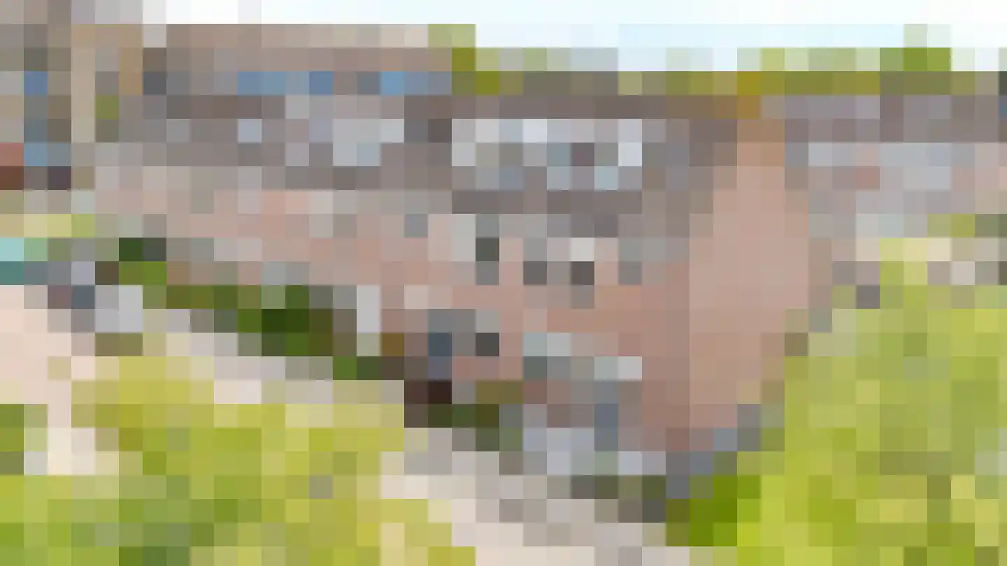 Tilbury 4 Sassenheim thumbnail 38