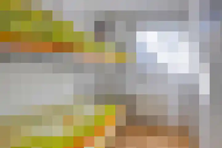 Tilgrupweg 16 Oude Willem thumbnail 16