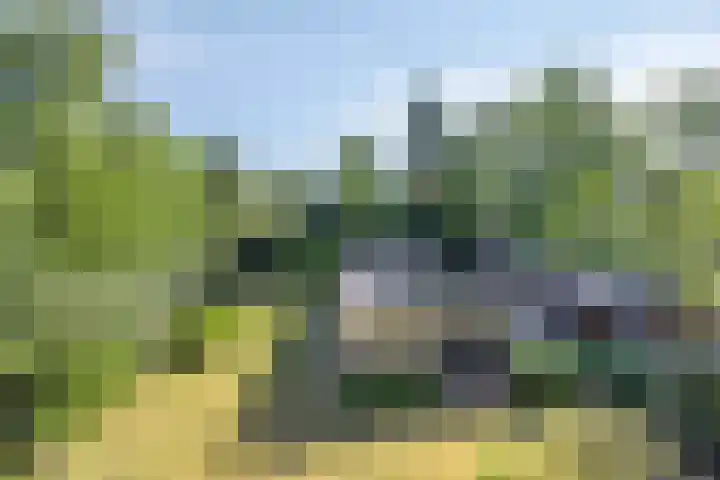 Tilgrupweg 16 Oude Willem thumbnail 21