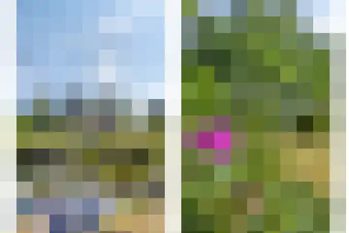 Tilgrupweg 16 Oude Willem thumbnail 24