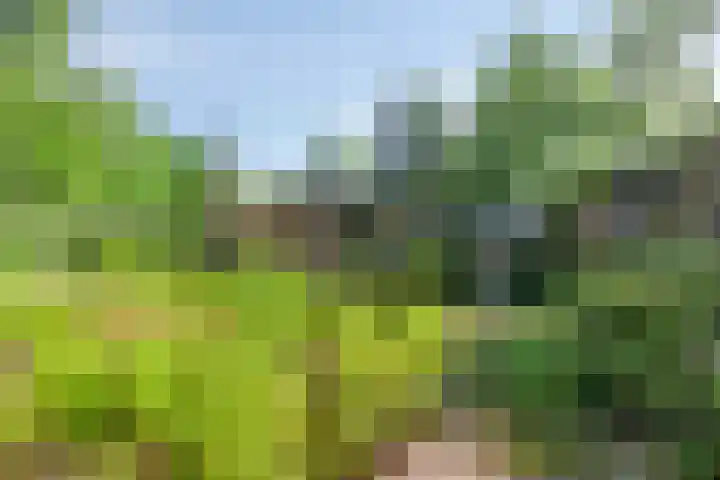 Tilgrupweg 16 Oude Willem thumbnail 25