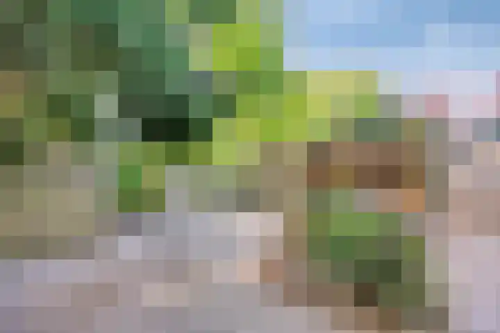 Tilgrupweg 16 Oude Willem thumbnail 29