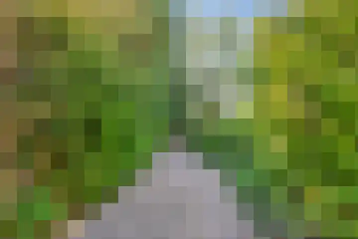 Tilgrupweg 16 Oude Willem thumbnail 32