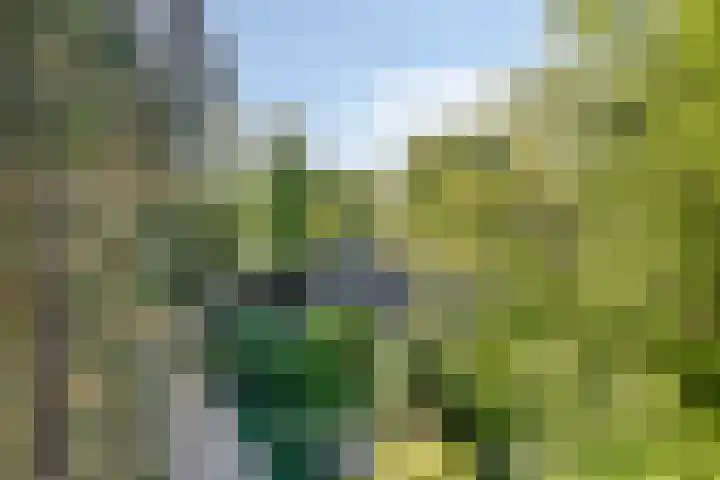 Tilgrupweg 16 Oude Willem thumbnail 33