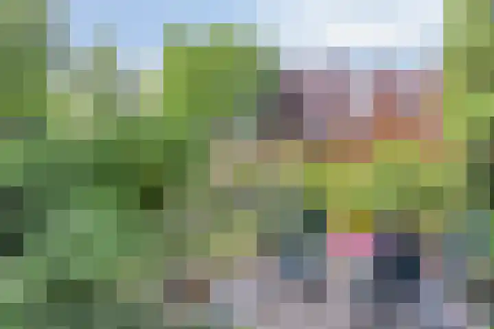 Tilgrupweg 16 Oude Willem thumbnail 4