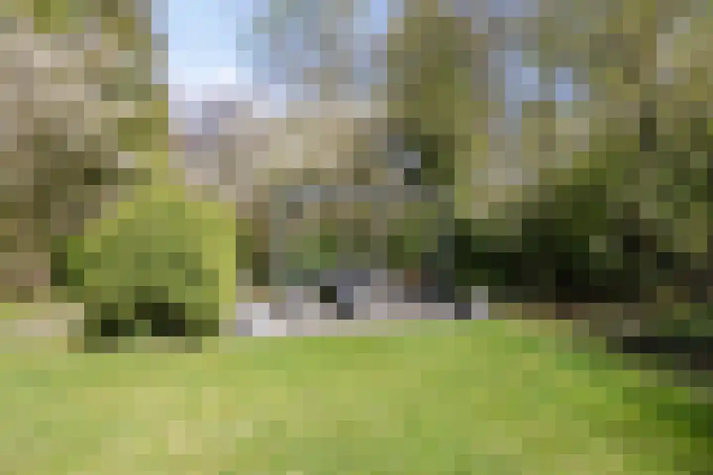 Tilgrupweg 35 Oude Willem thumbnail 29