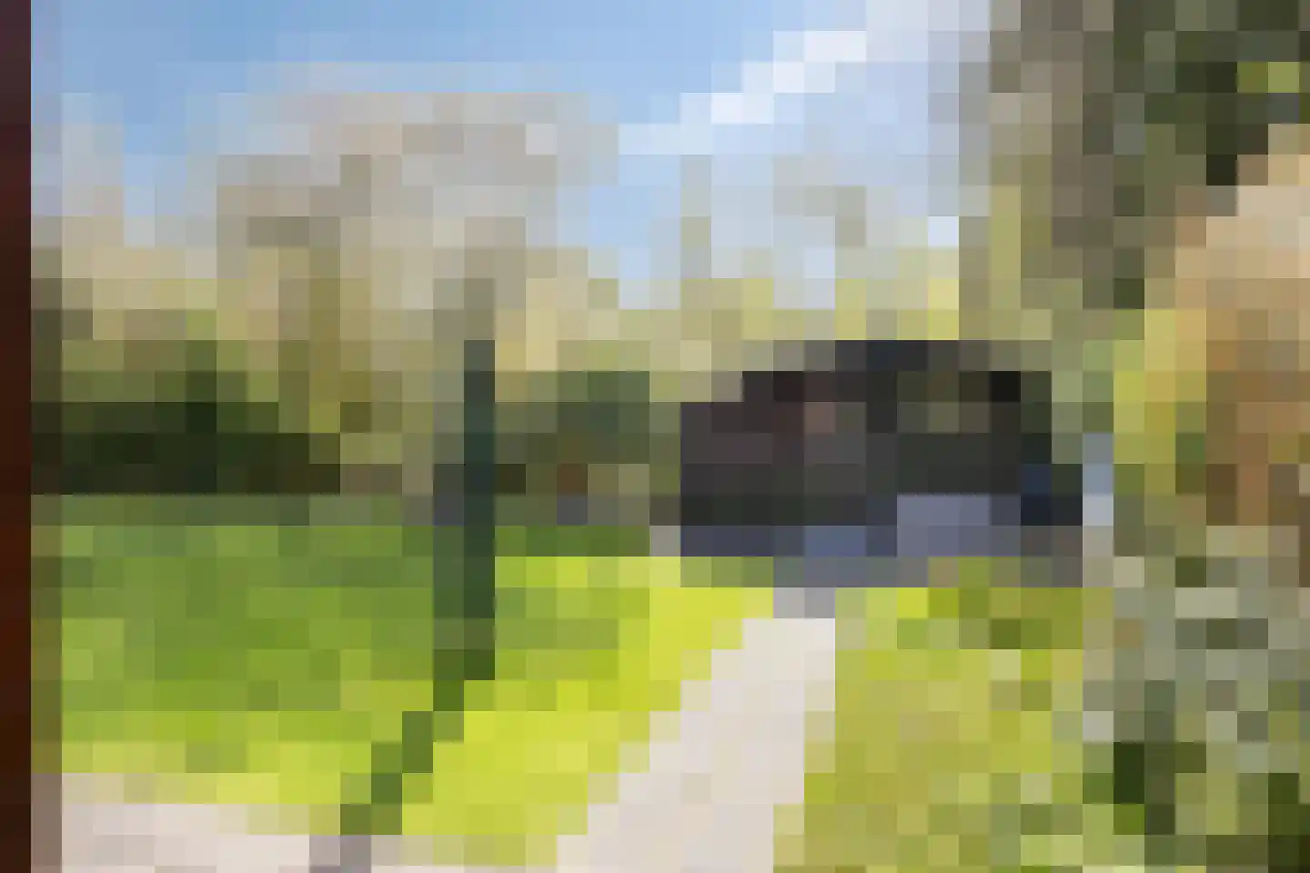 Tilgrupweg 35 Oude Willem thumbnail 31