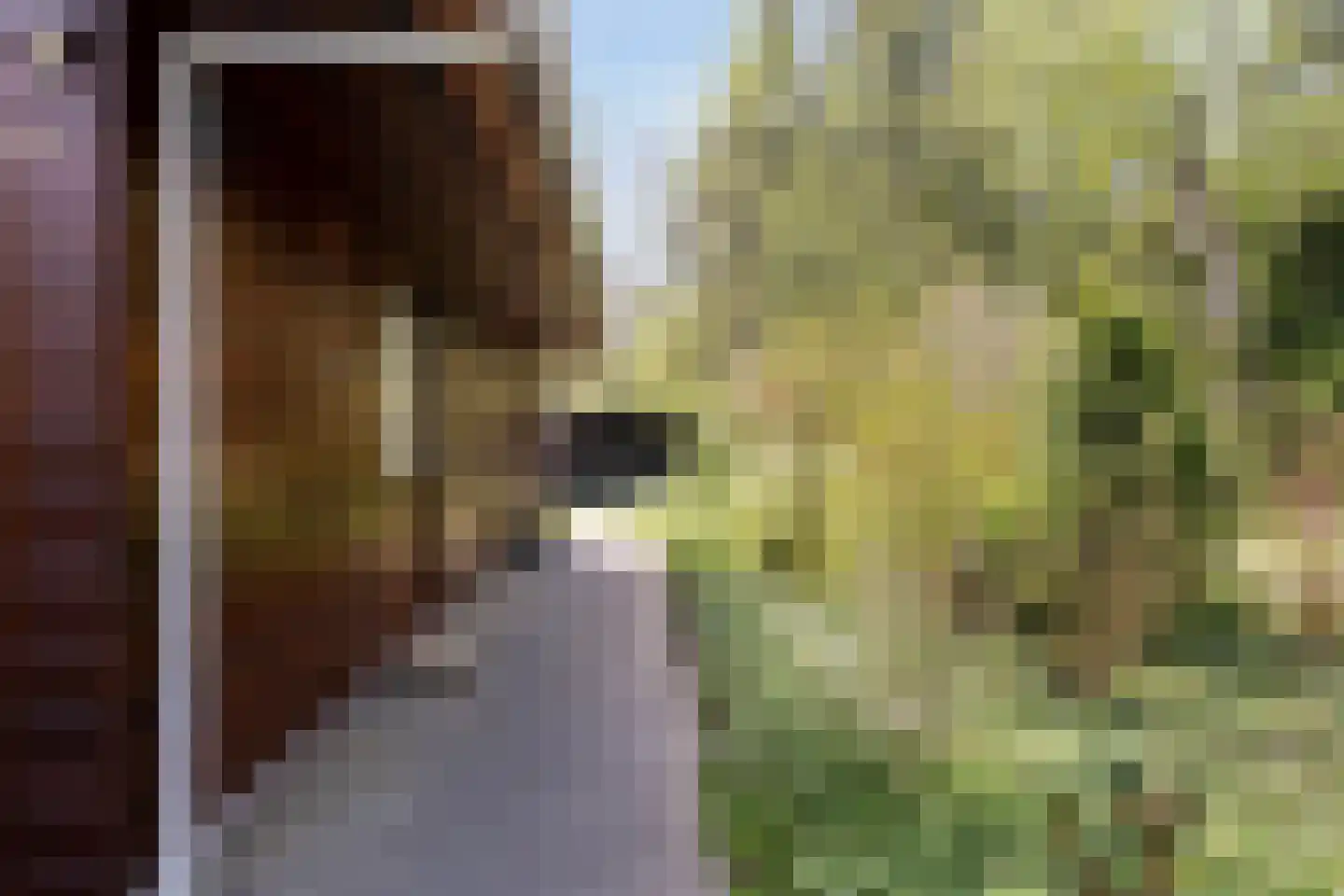 Tilgrupweg 35 Oude Willem thumbnail 32