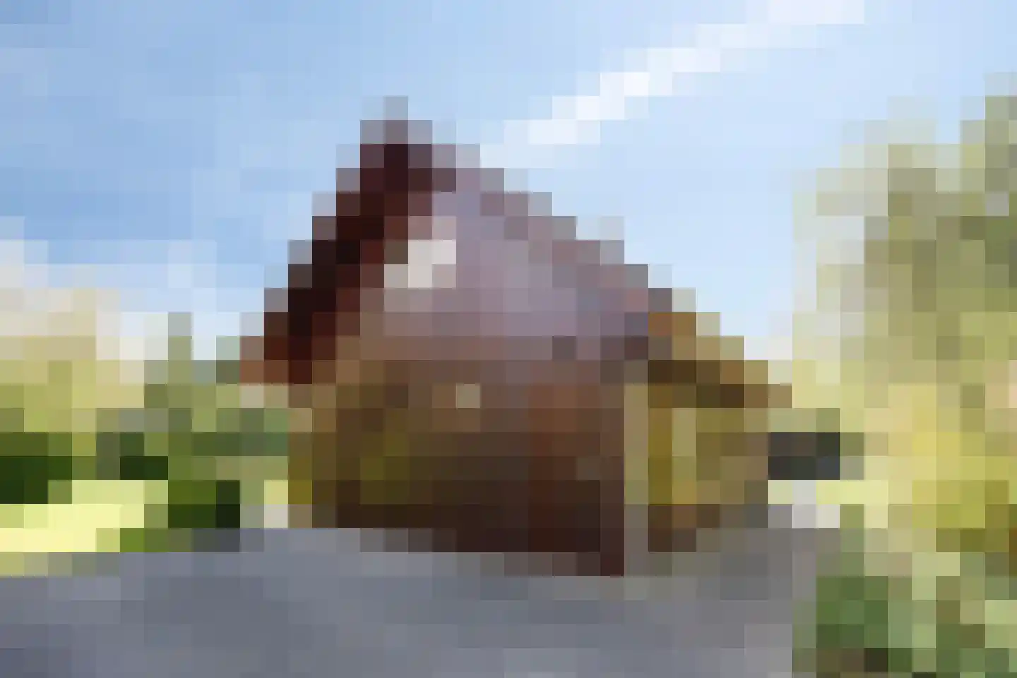 Tilgrupweg 35 Oude Willem thumbnail 33