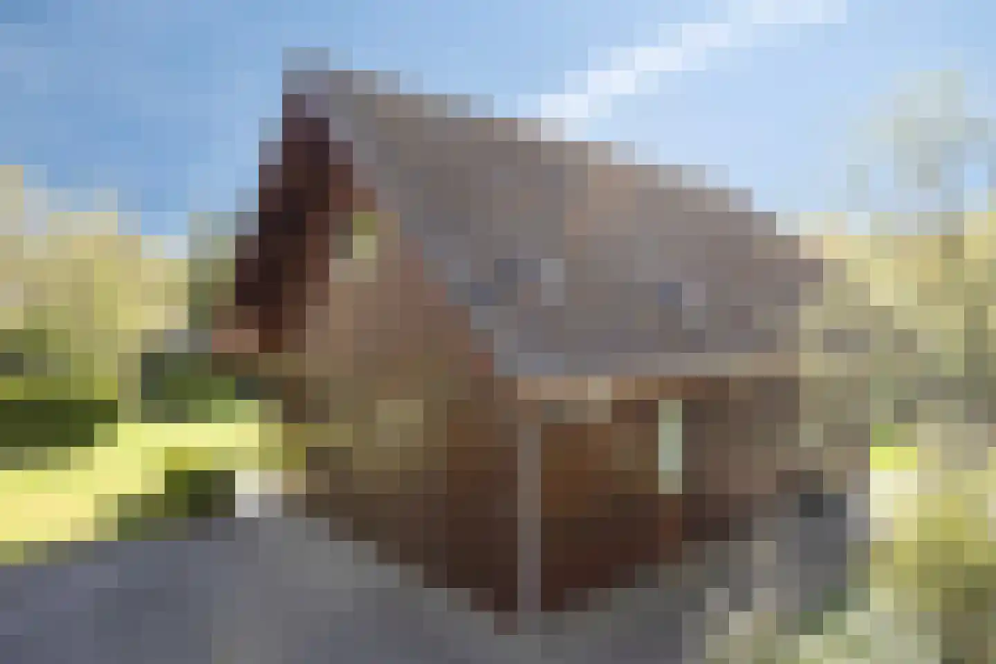 Tilgrupweg 35 Oude Willem thumbnail 34