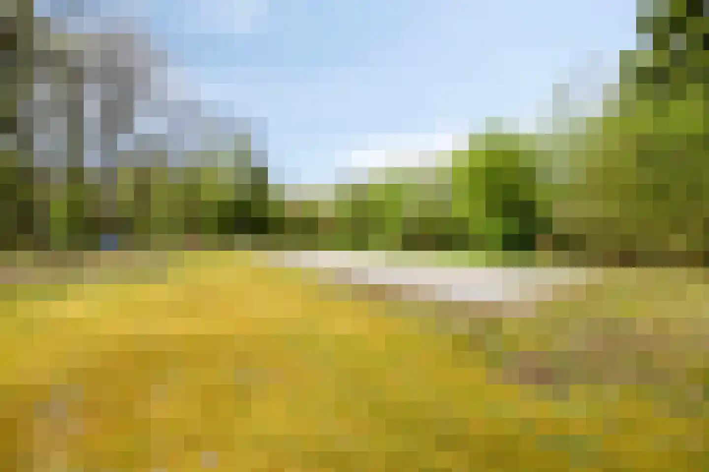 Tilgrupweg 35 Oude Willem thumbnail 37