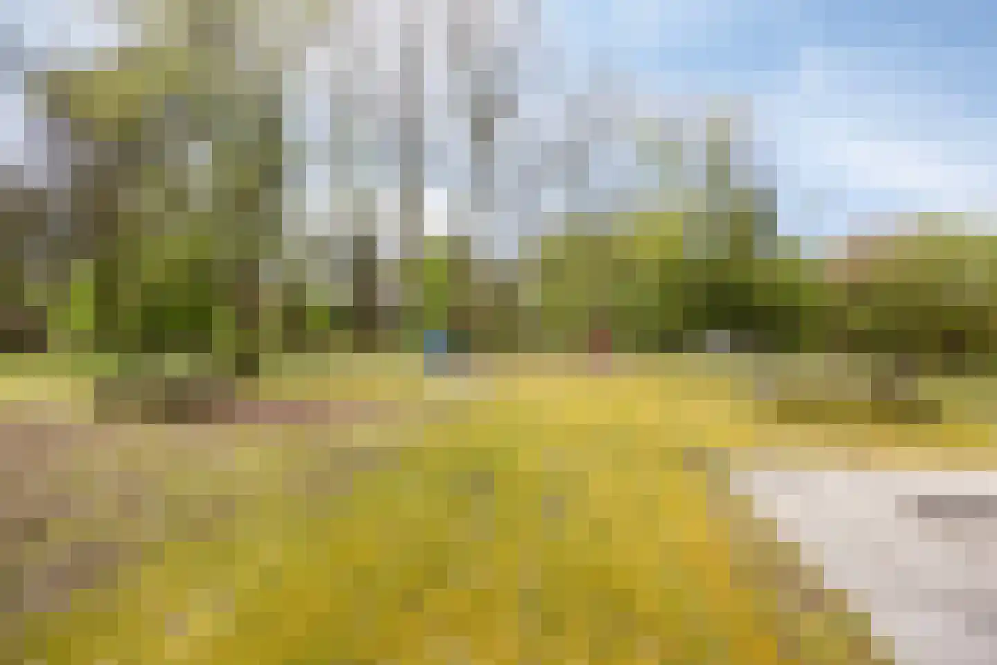 Tilgrupweg 35 Oude Willem thumbnail 38